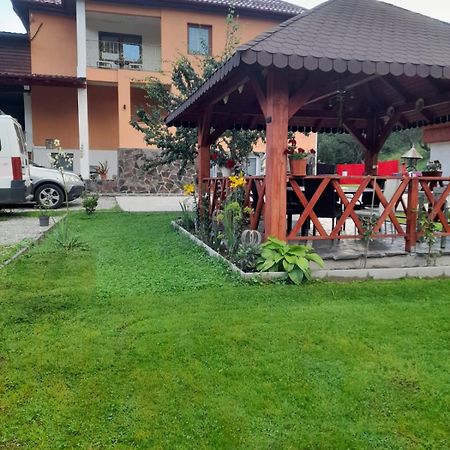 Casa M&M Vişeu de Sus Exterior foto